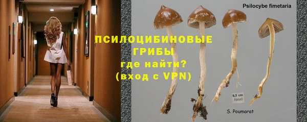 гашик Сафоново